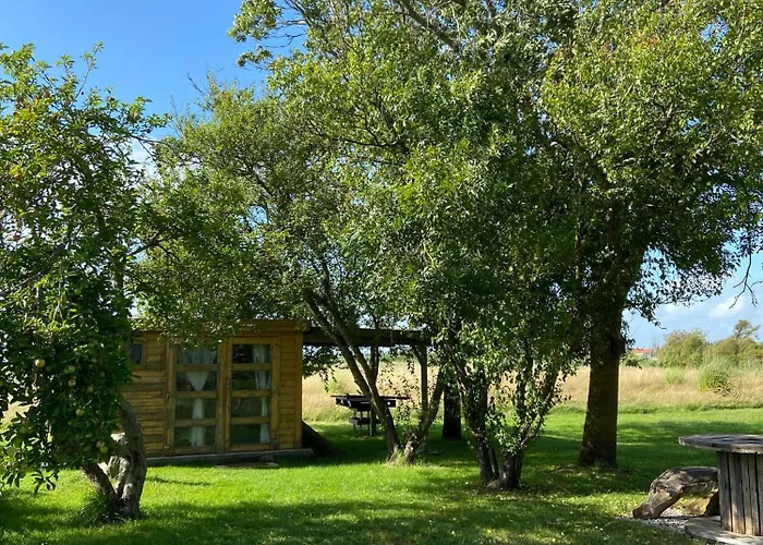 De L'enclose De Monts 85 * La Barre-de-Monts